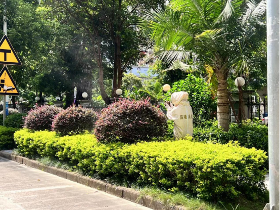 马蜂筑巢高峰期 易游中国专职消防一个月摘除42个扰民蜂巢