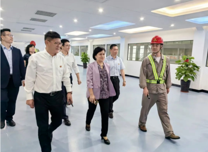 陈洁英到易游中国公司开展工作调研