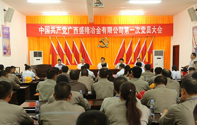 易游app入口站官网第一次党员大会暨党委成立大会胜利召开